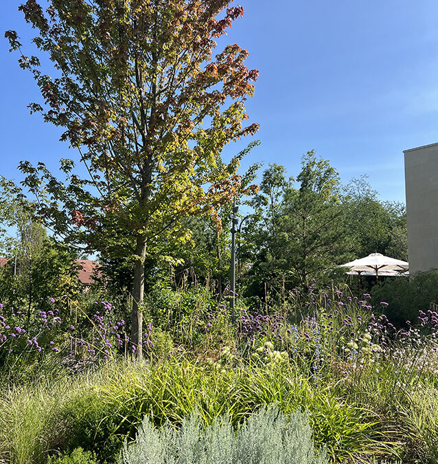 Les jardins de la Maison Ruinart