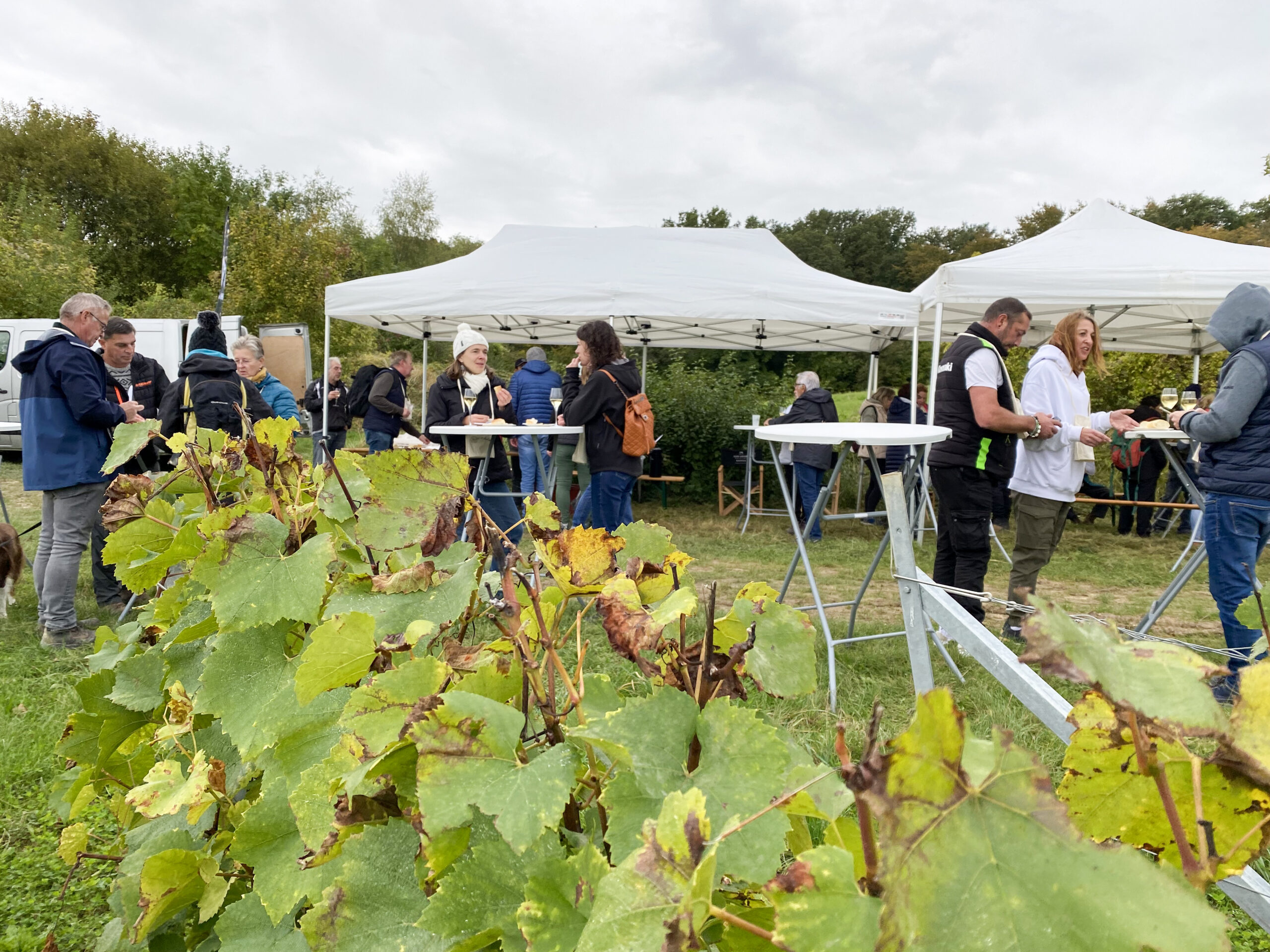 balade gourmande de berru 2025