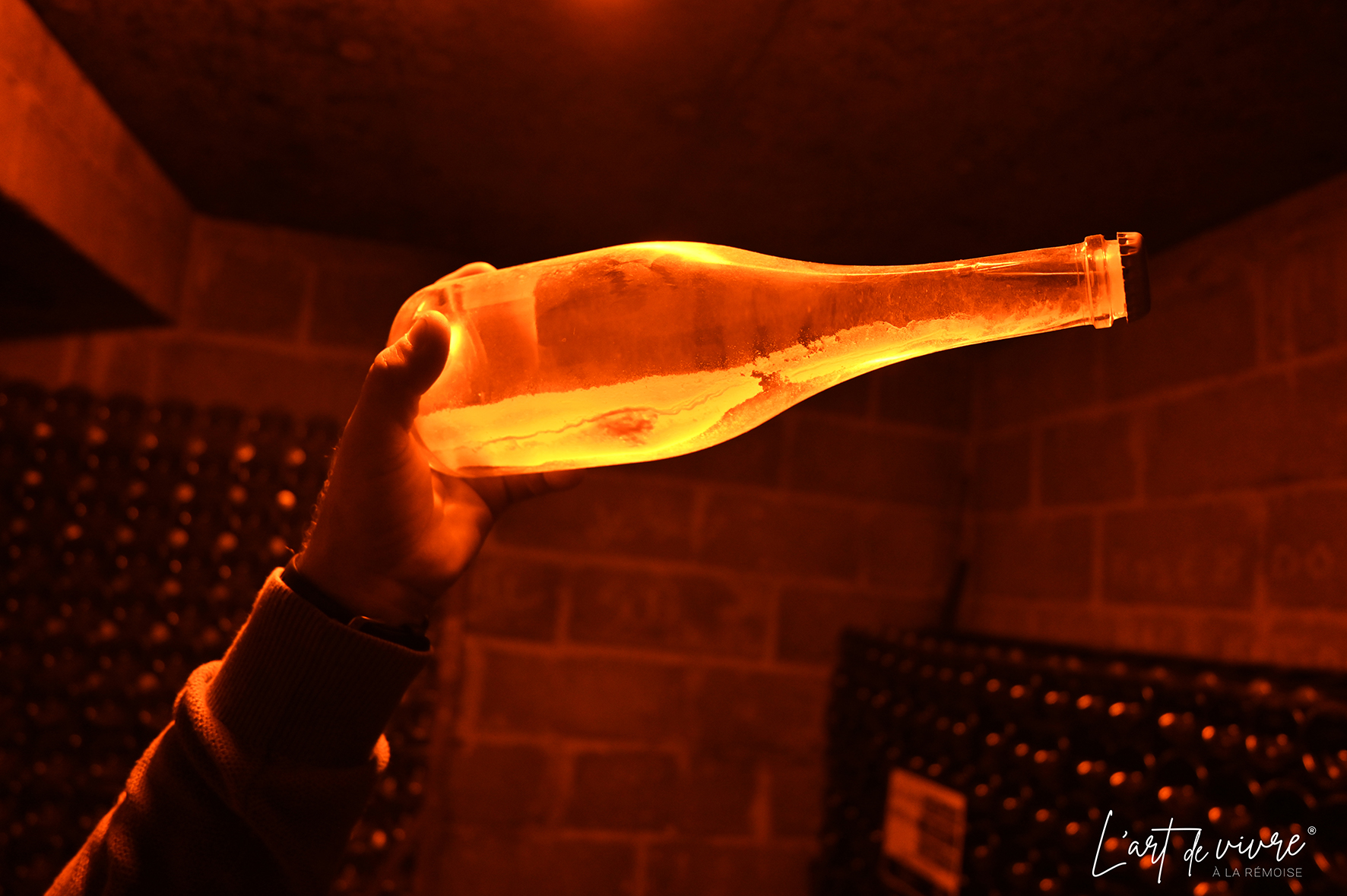 champagne Gaston Collard Bouzy