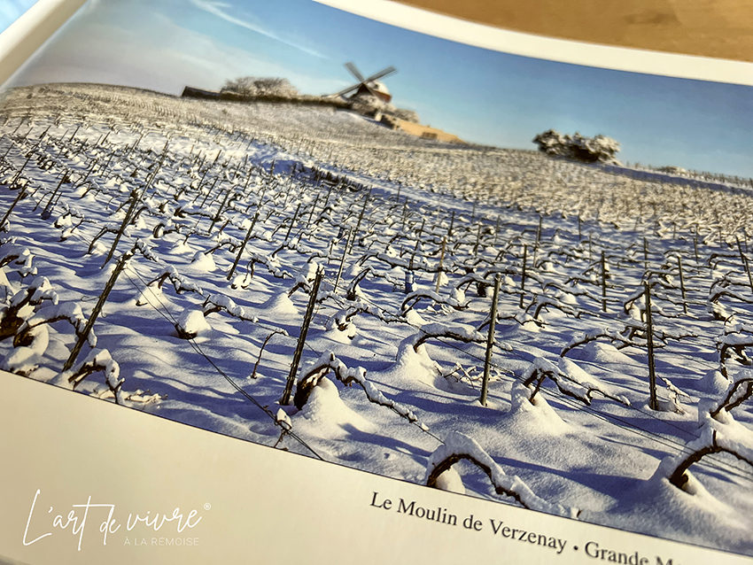 Paysages et caves de Champagne