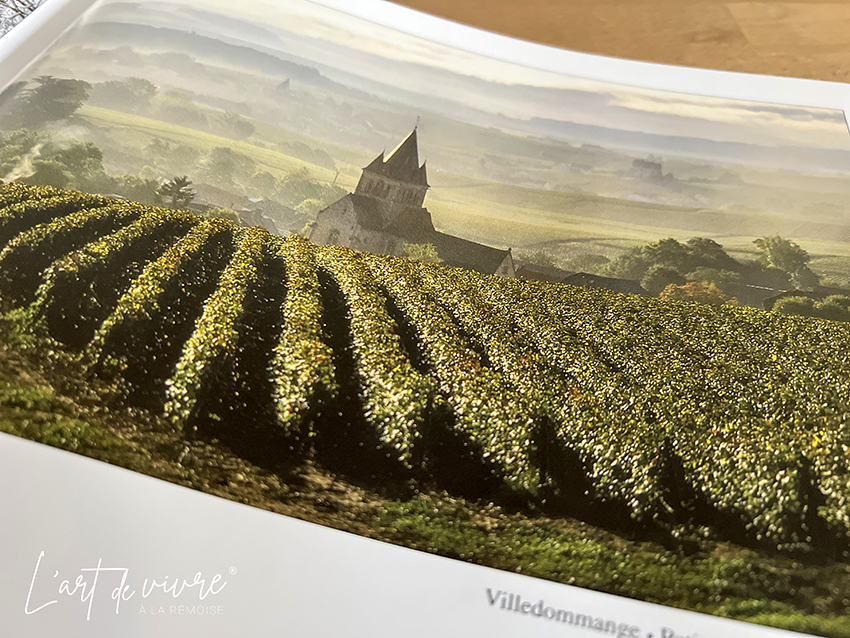Paysages et caves de Champagne