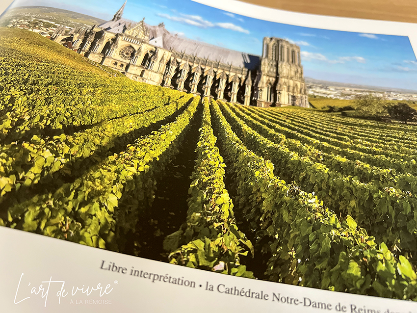 Paysages et caves de Champagne