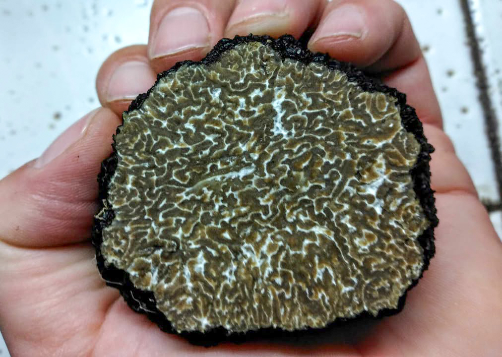 552645809_773169132018493_6867846728138425149_n