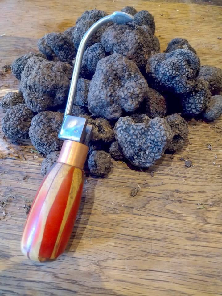 575423754_840950152201458_9177889542582647668_n