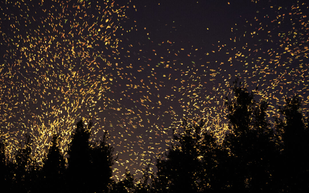 Maison RUINART, de nouvelles expériences