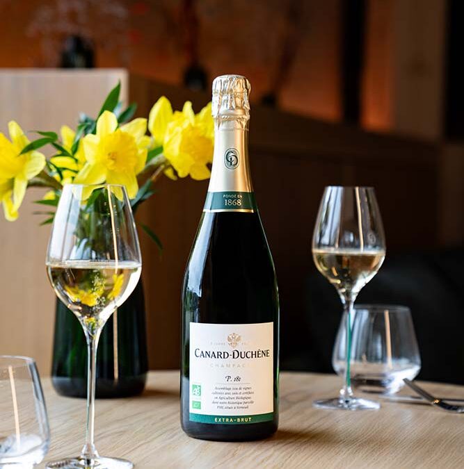 Champagne Canard-Duchêne cuvée P 181