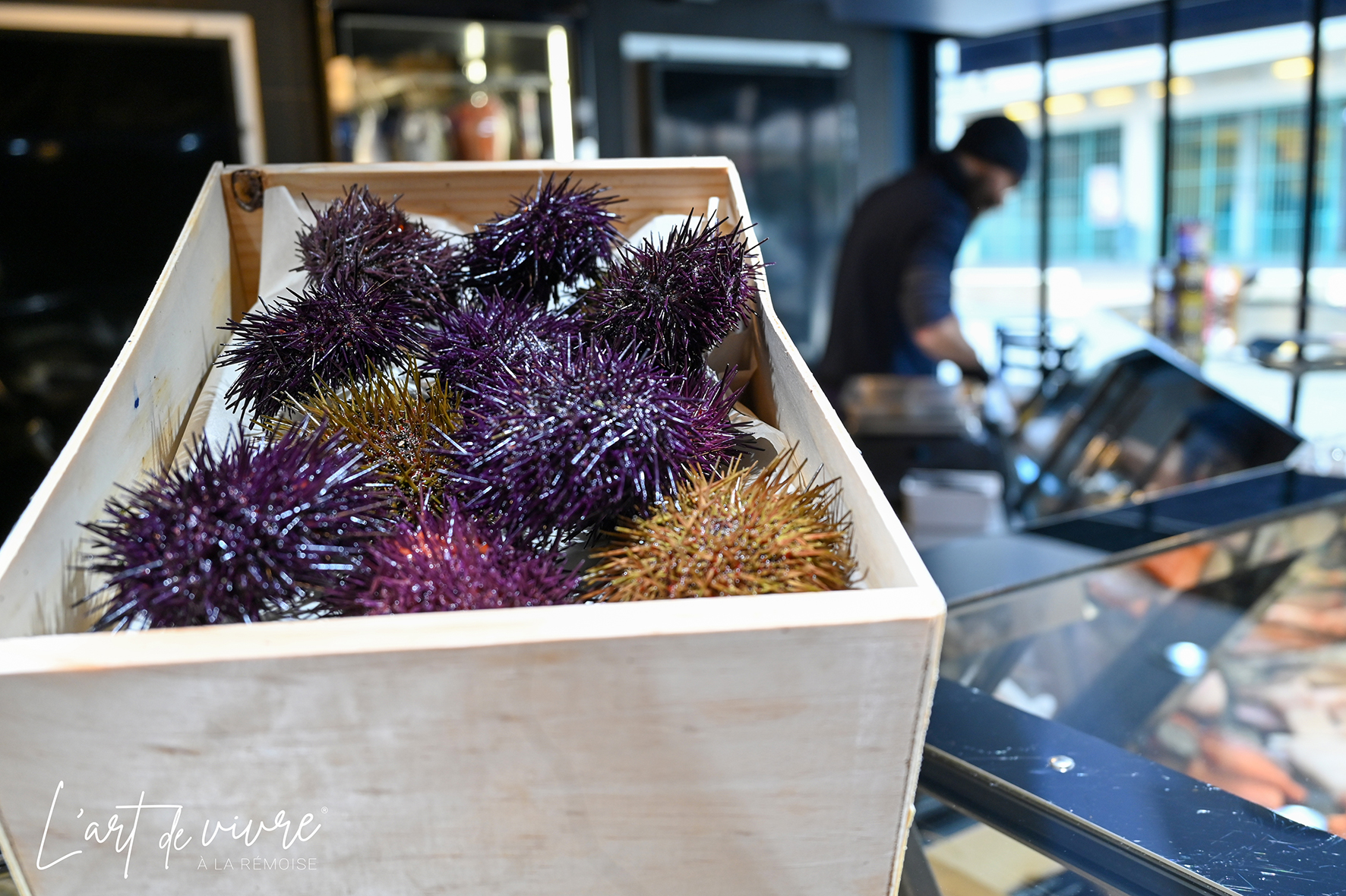 La poissonnerie l'Etal à Reims