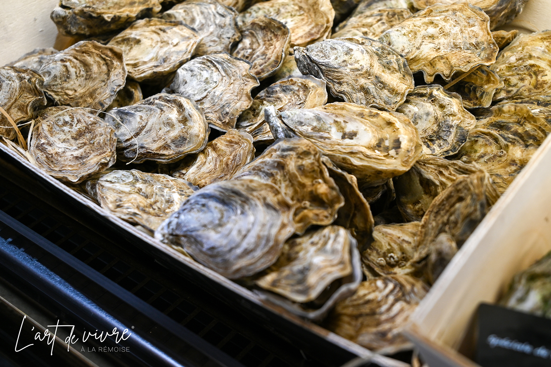 La poissonnerie l'Etal à Reims