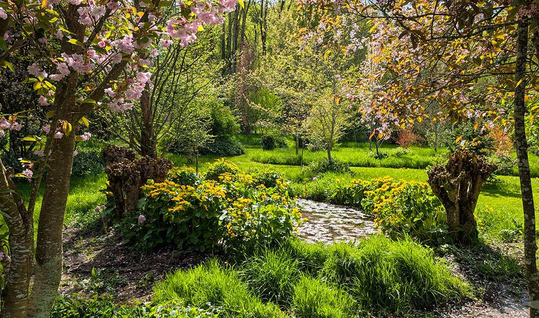 Une balade contée au coeur de la Champagne